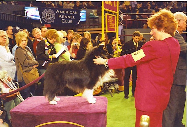 Coal at Wesminster with Our Dream Handler Carol Gefell