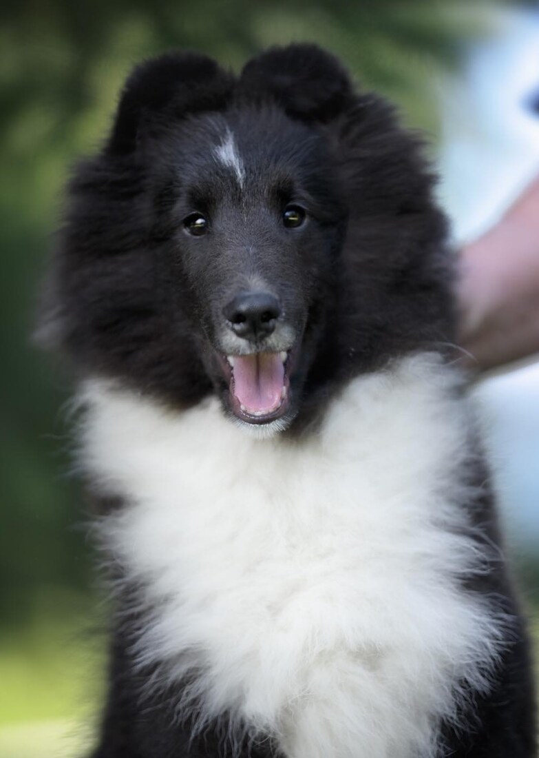 GabeHeadshot1