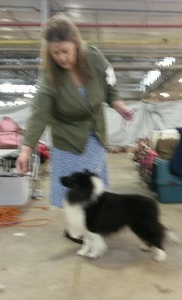 Winners Dog again!!