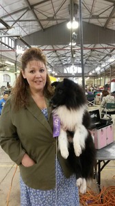 Winners Dog again ! Points the first weekend out in a ring ever !!