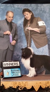 Winner Dog at the Salt City Cluster at the New York State Fair.