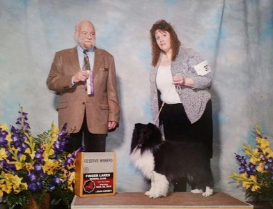 4pt Major Reserve at the Finger lakes Kennel Club Show in Syracuse New York