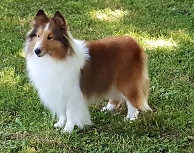 Rachel at 8 years old 2017