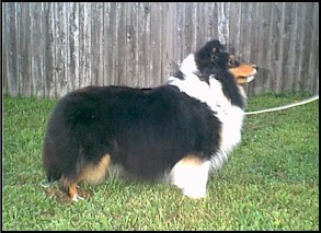 Lexi as a younger girl.....