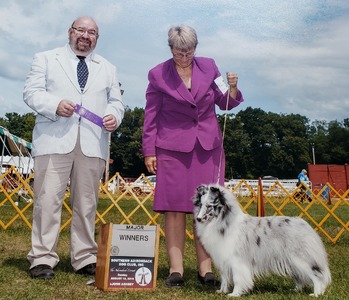 Cricket taking a 3 point major at the Ballston Spa Shows July 2019