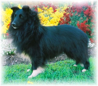 Rocky Our Handsome Boy
